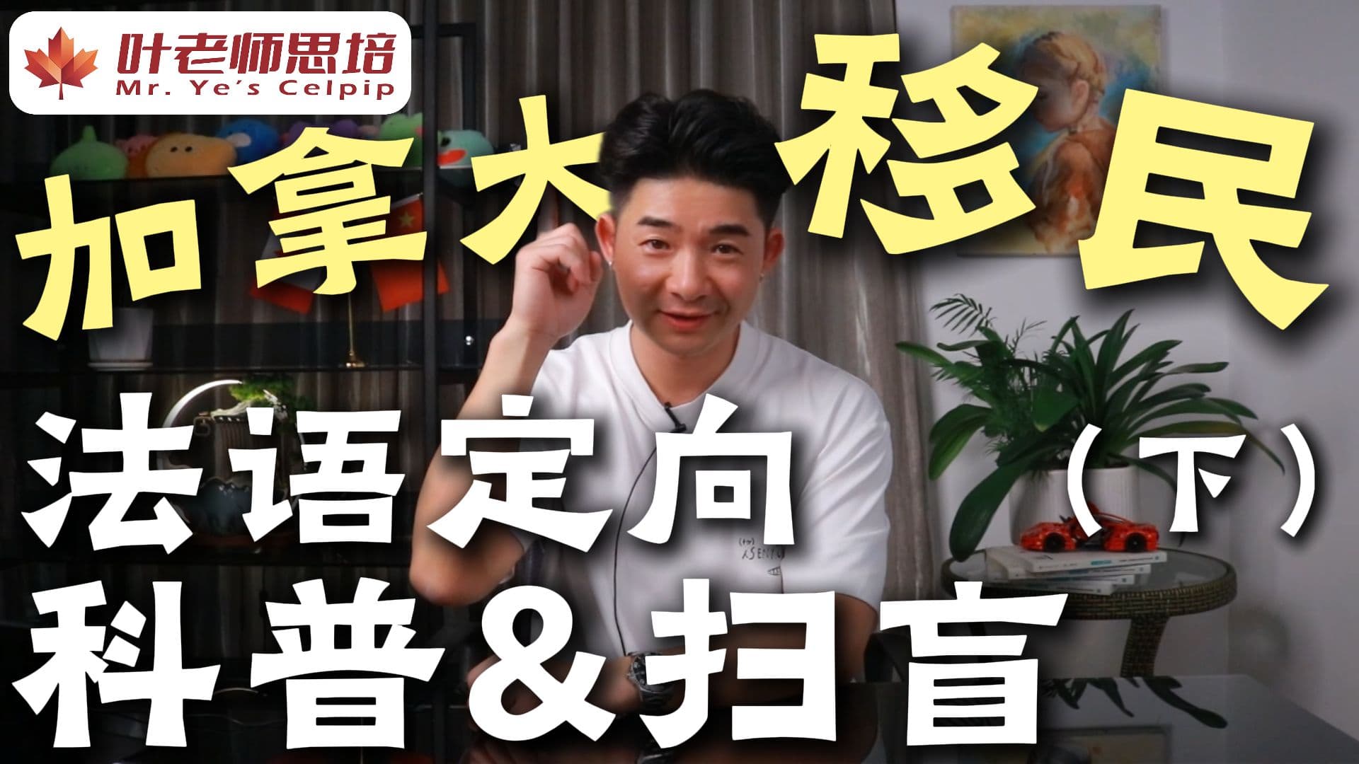 加拿大移民法语定向科普与扫盲（下） · 视频封面